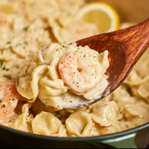 Shrimp Tortellini Alfredo